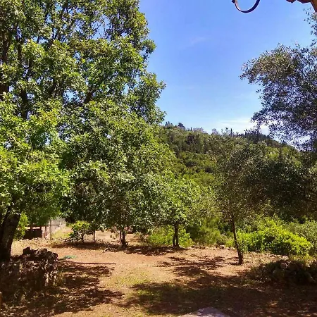 Modern Eco Friendly Close To Town